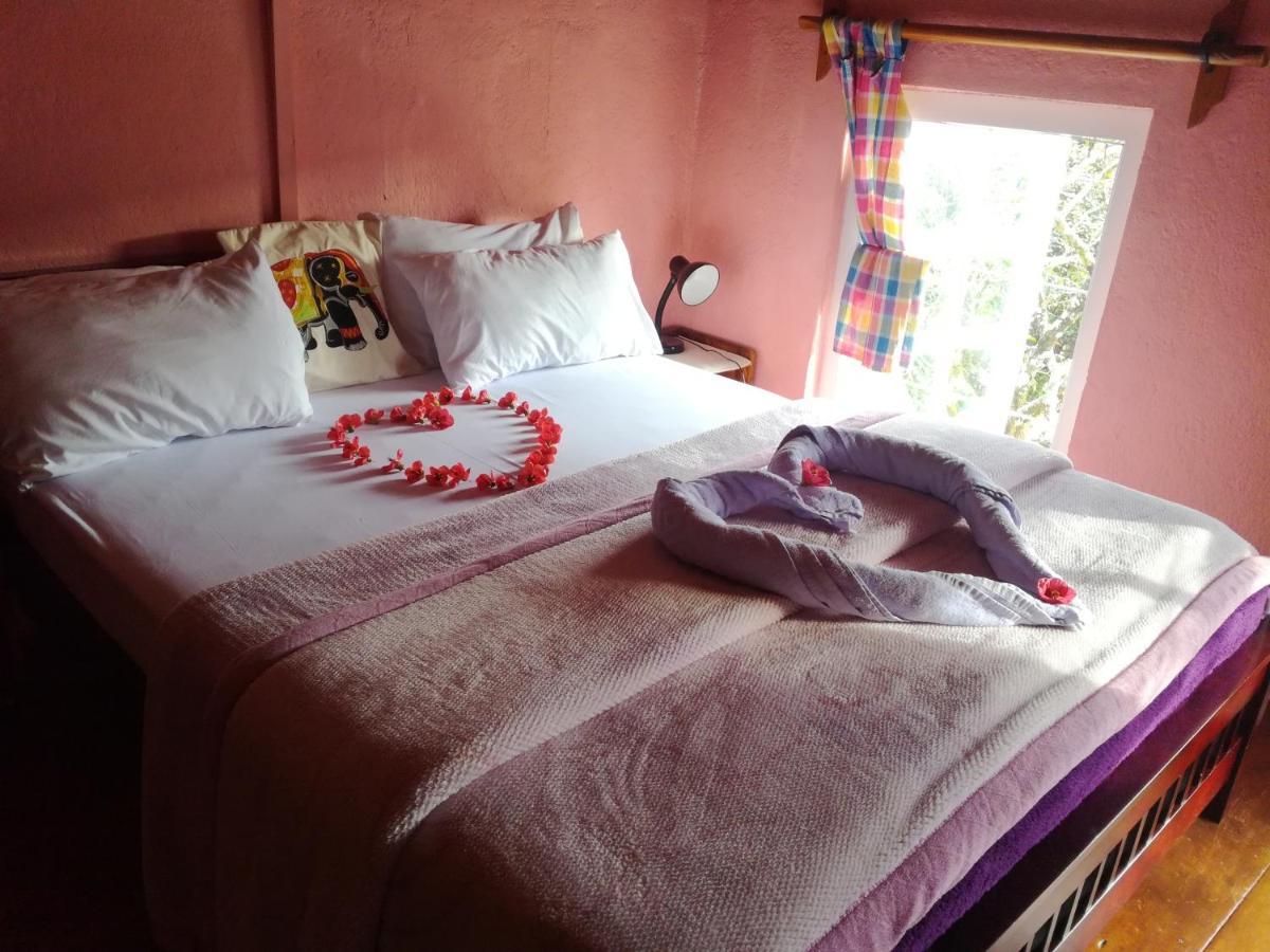 Sincere Wilderness Home Stay Nuwara Eliya Exterior foto
